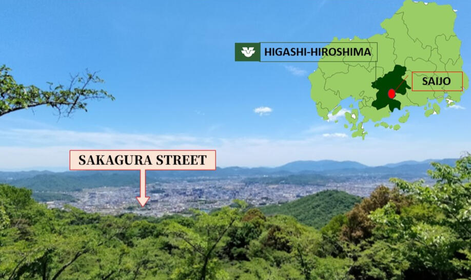 Sake tasting and brewery tour at Sakagura Street in Saijo, Hiroshima Ione, an English/Spanish speaking guide at Sakagura Street Saijo, Hiroshima